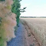 Дом отдыха Les De Genas Бург-ле-Валанс