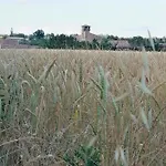 Les De Genas *